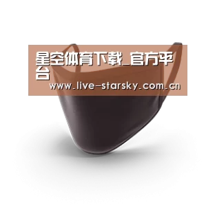 成人布口罩