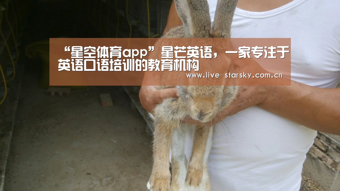 “星空体育app”星芒英语,一家专注于英语口语培训的教育机构(图4) 星空体育下载