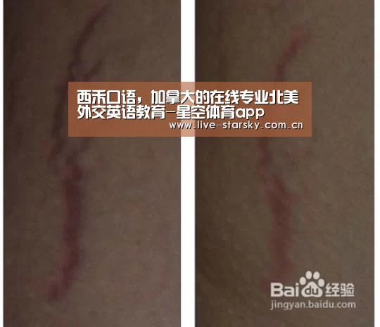 西禾口语，加拿大的在线专业北美外交英语教育-星空体育app