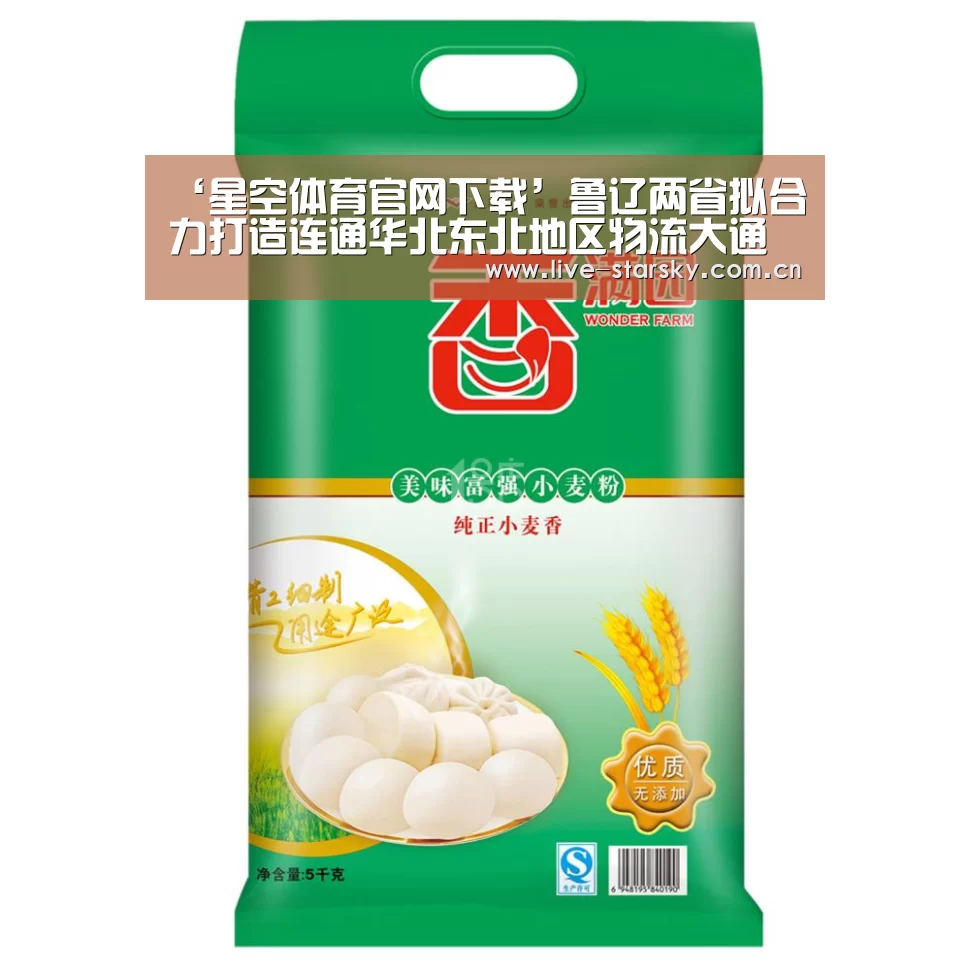‘星空体育官网下载’鲁辽两省拟合力打造连通华北东北地区物流大