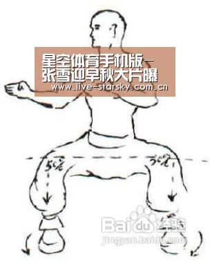 星空体育手机版-张雪迎早秋大片曝光 双面风格展个性时尚态度