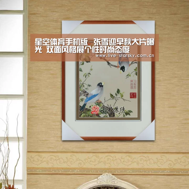 星空体育官网下载