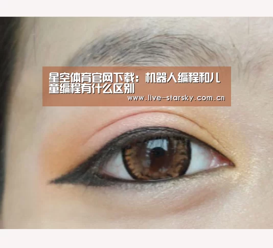 星空体育官网下载：机器人编程和儿童编程有什么区别
