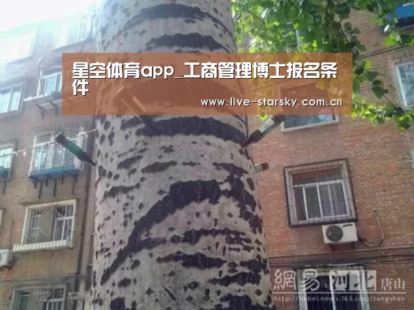 星空体育下载