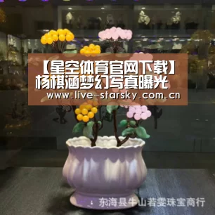星空体育下载