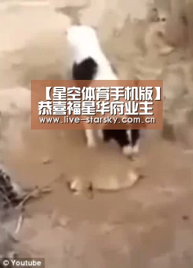【星空体育手机版】恭喜福星华府业主签约鑫绎尚装饰